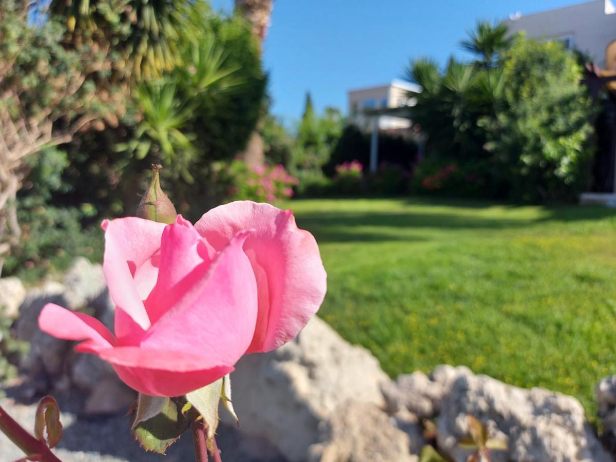 Coral Bay Suite Cyprus Экстерьер фото